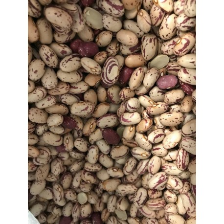 Fagiolo Borlotto Biologico (500g)