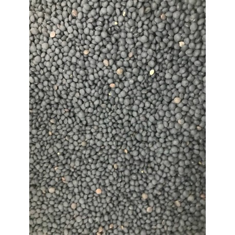 Lenticchie Nere (500g)