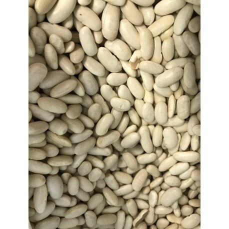 Fagioli Bianchi (500g)