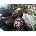 Carciofi mezza spina