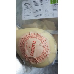 Caciotta