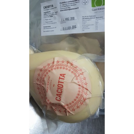 Caciotta