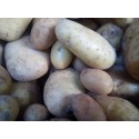 Patate