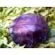 Cavolfiore cappuccio nero bio (broccolo)