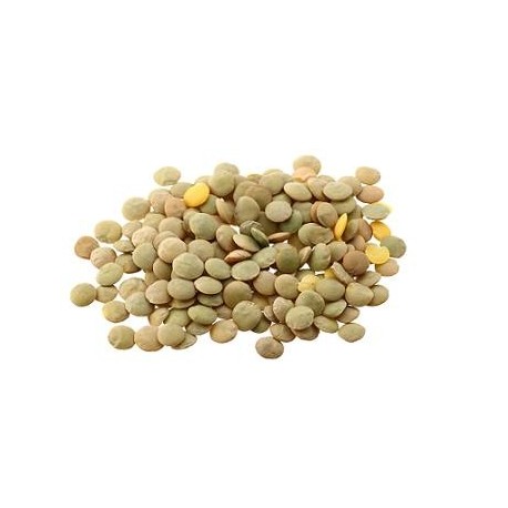 Lenticchia "Bionda comune"