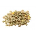 Lenticchia "Bionda comune"
