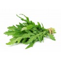 Rucola (mazzo)