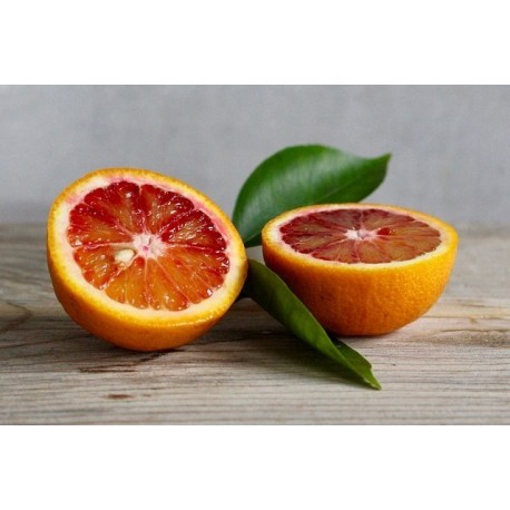 Marmellata di arancia rossa BIO