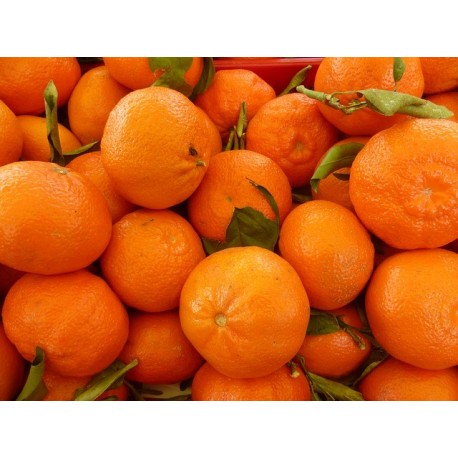 Marmellata di mandarini