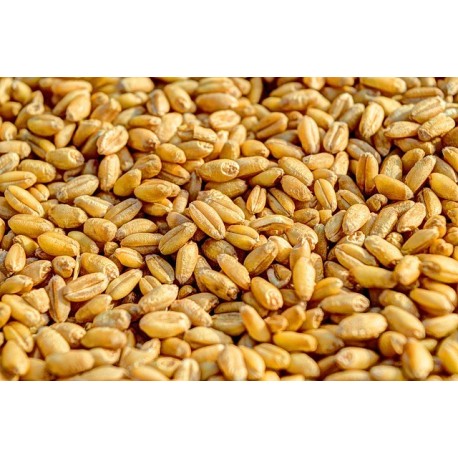 Farina Dieci Cereali