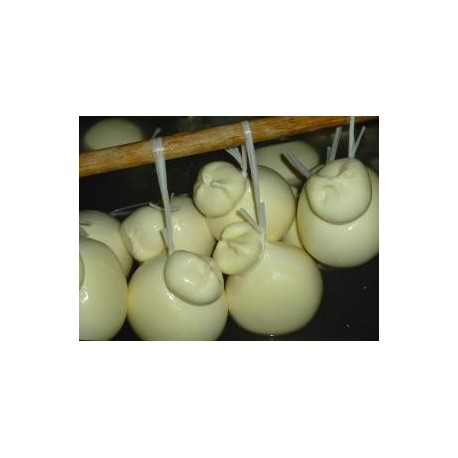 Provola delle Madonie