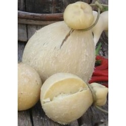 Provola delle Madonie stagionata