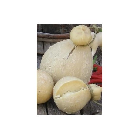 Provola delle Madonie stagionata