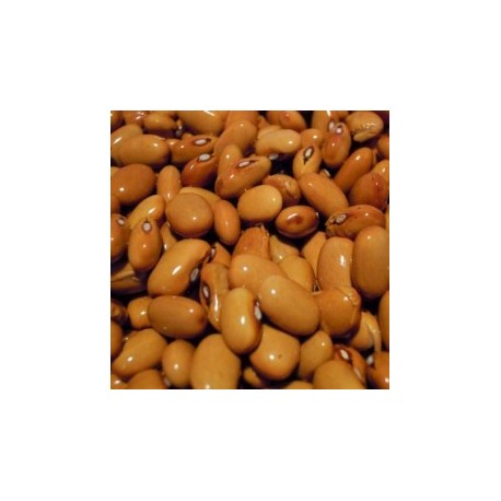 Fagioli Tabaccara