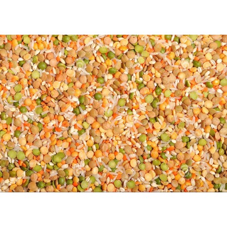 Minestra di legumi e riso biologica