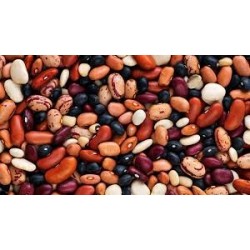 Zuppa di legumi biologico 