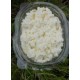 Ricotta di bufala siciliana