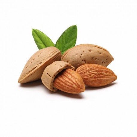 Mandorle con involucro tenero o "MUDDISE"